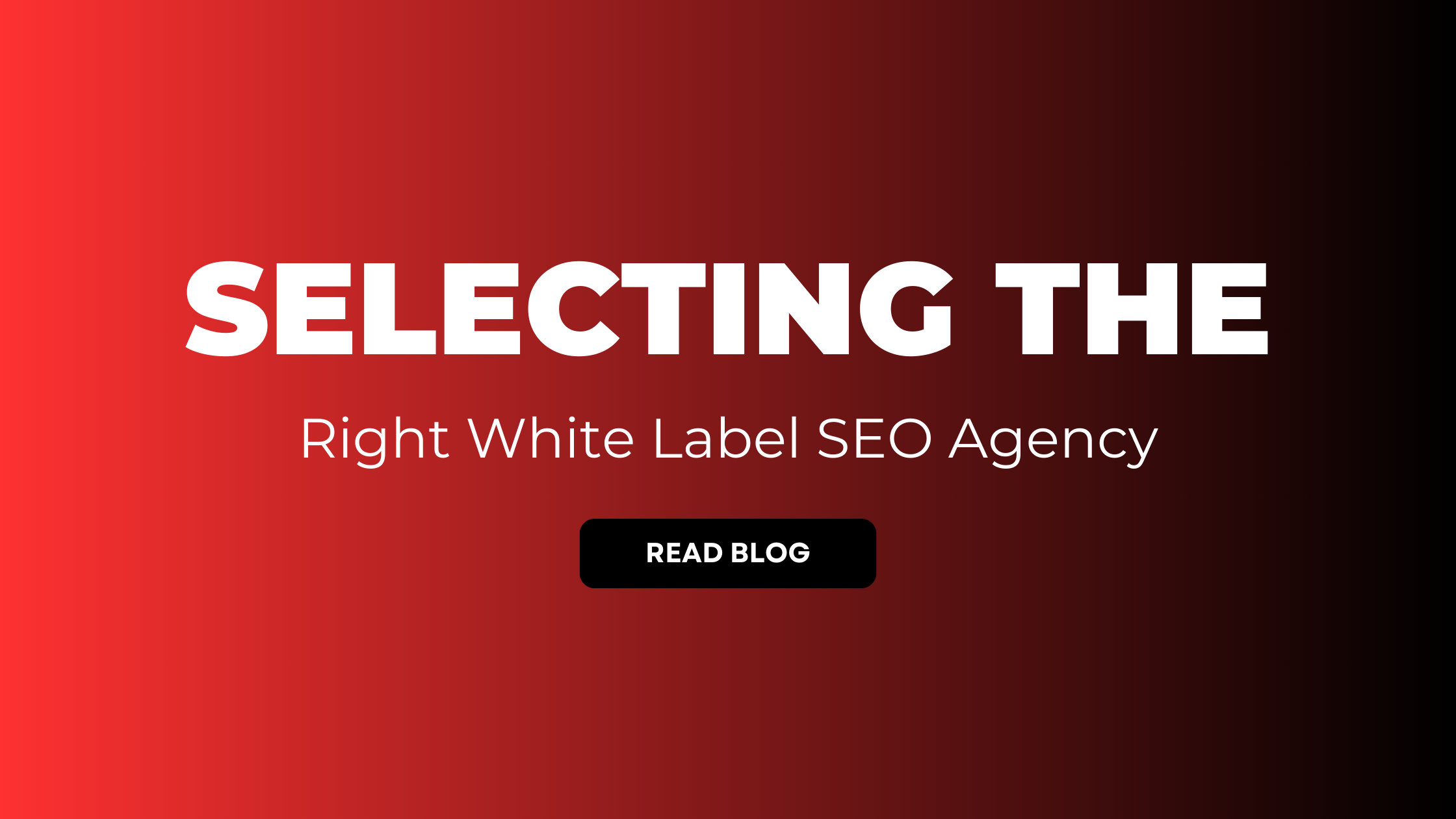 Read more about the article Selecting the Right White Label SEO Agency